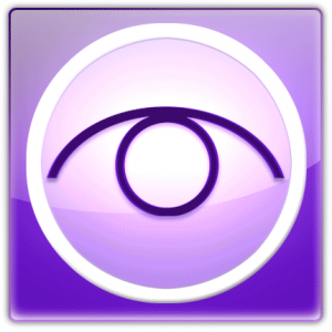 Logo Window Eyes