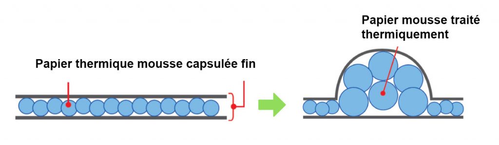 Papier pour Imprimante thermique TactPlus