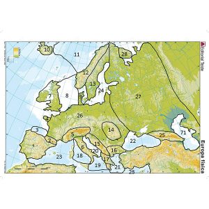 Globe terrestre tactile avec stylo parlant pour aveugle ou malvoyant