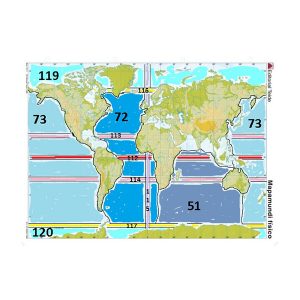 Globe terrestre tactile avec stylo parlant pour aveugle ou malvoyant