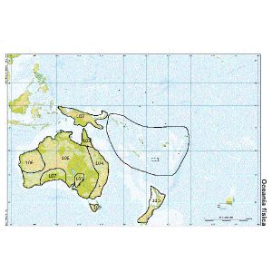 Globe terrestre tactile avec stylo parlant pour aveugle ou malvoyant