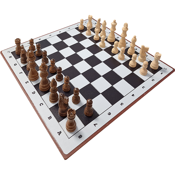Jeu d’échecs tactile magnétique : échecs accessibles