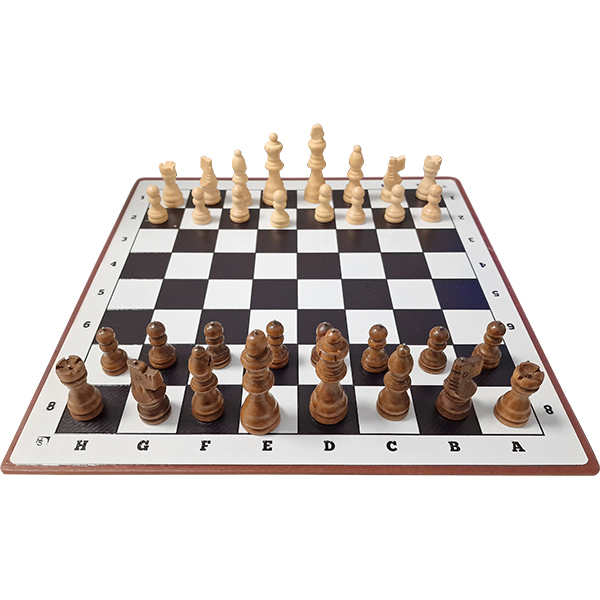 Jeu d’échecs tactile magnétique : échecs accessibles
