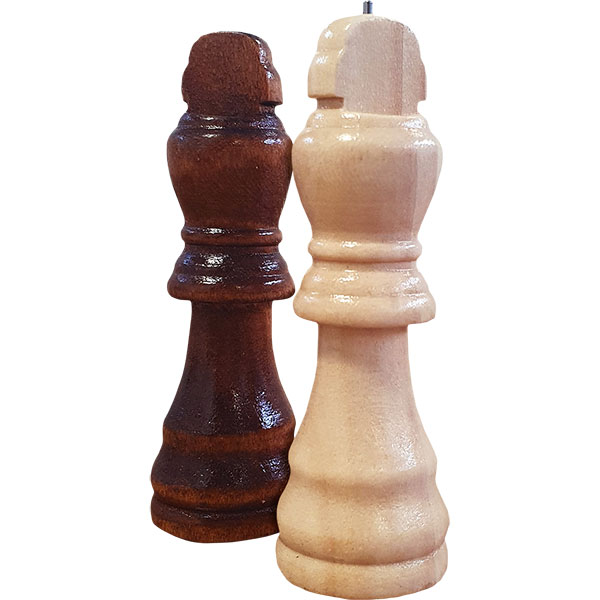 Jeu d’échecs tactile magnétique : échecs accessibles